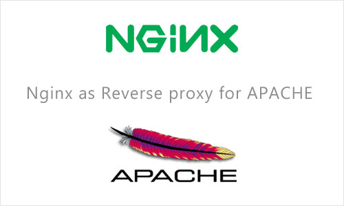 Why I do combining apache and nginx together?